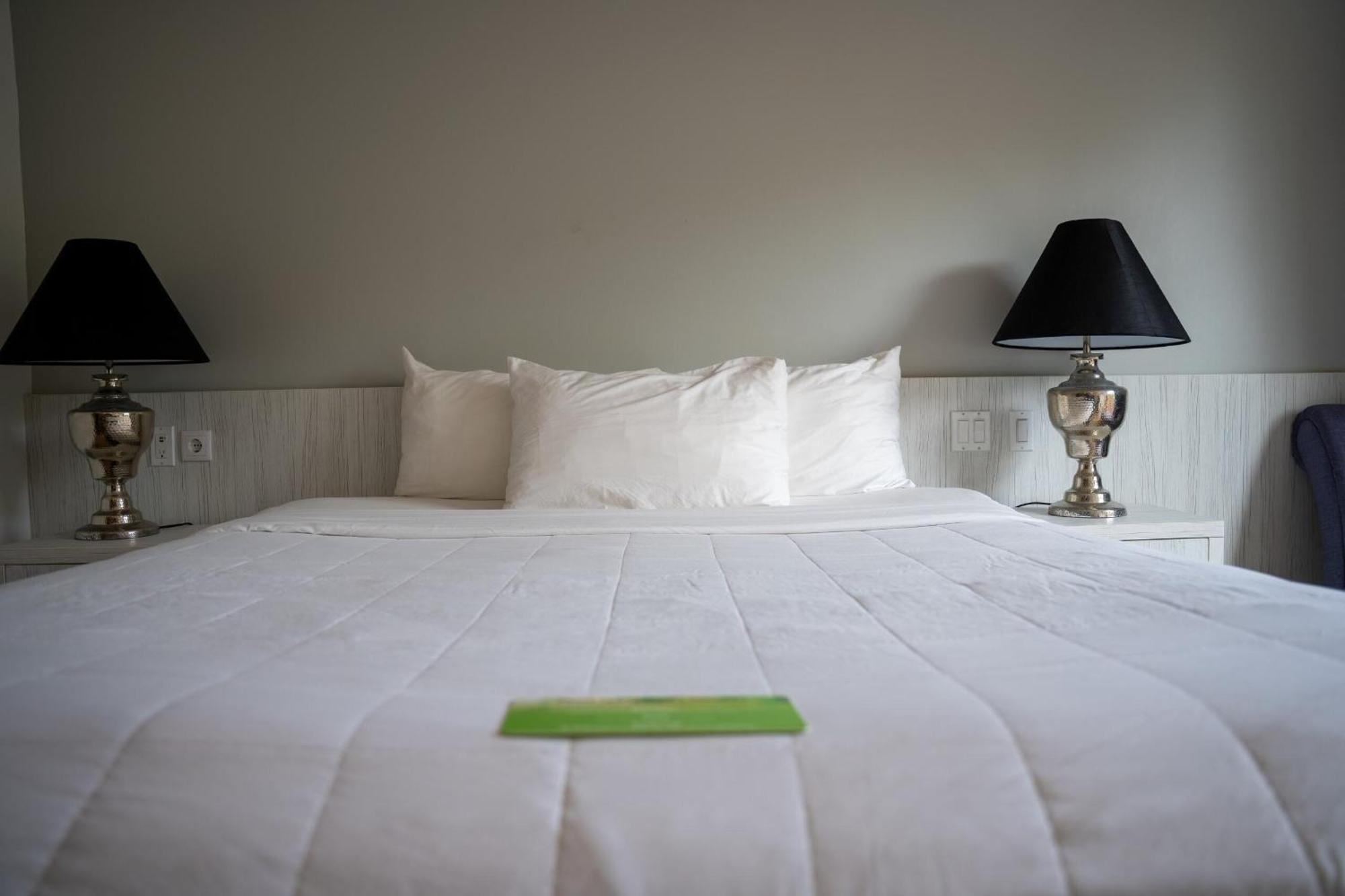 Royal Torarica Hotel Парамарибо Екстериор снимка